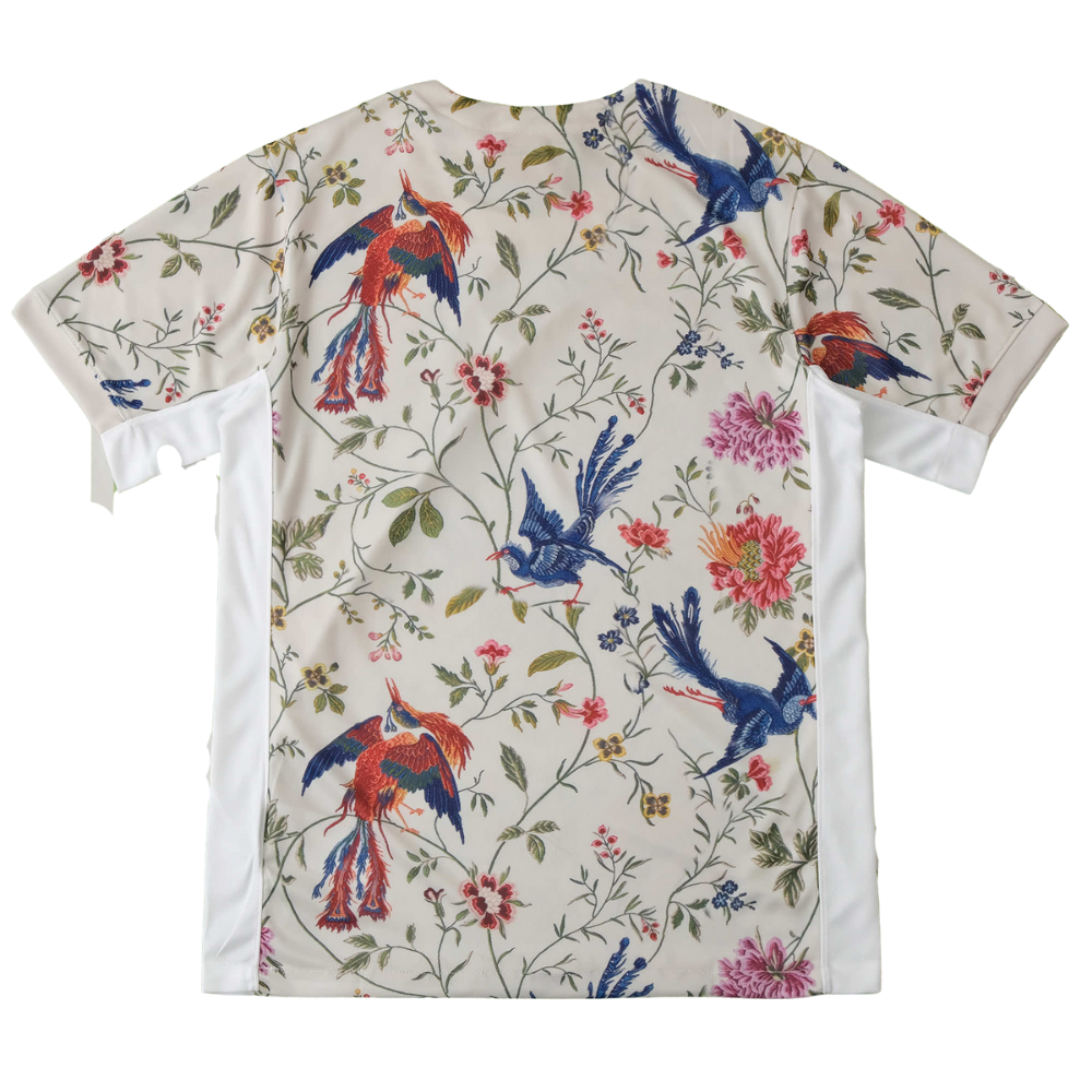 FRANKRIJK 'AILE D'HÉRITAGE' NATIONAAL CONCEPT SHIRT 2024