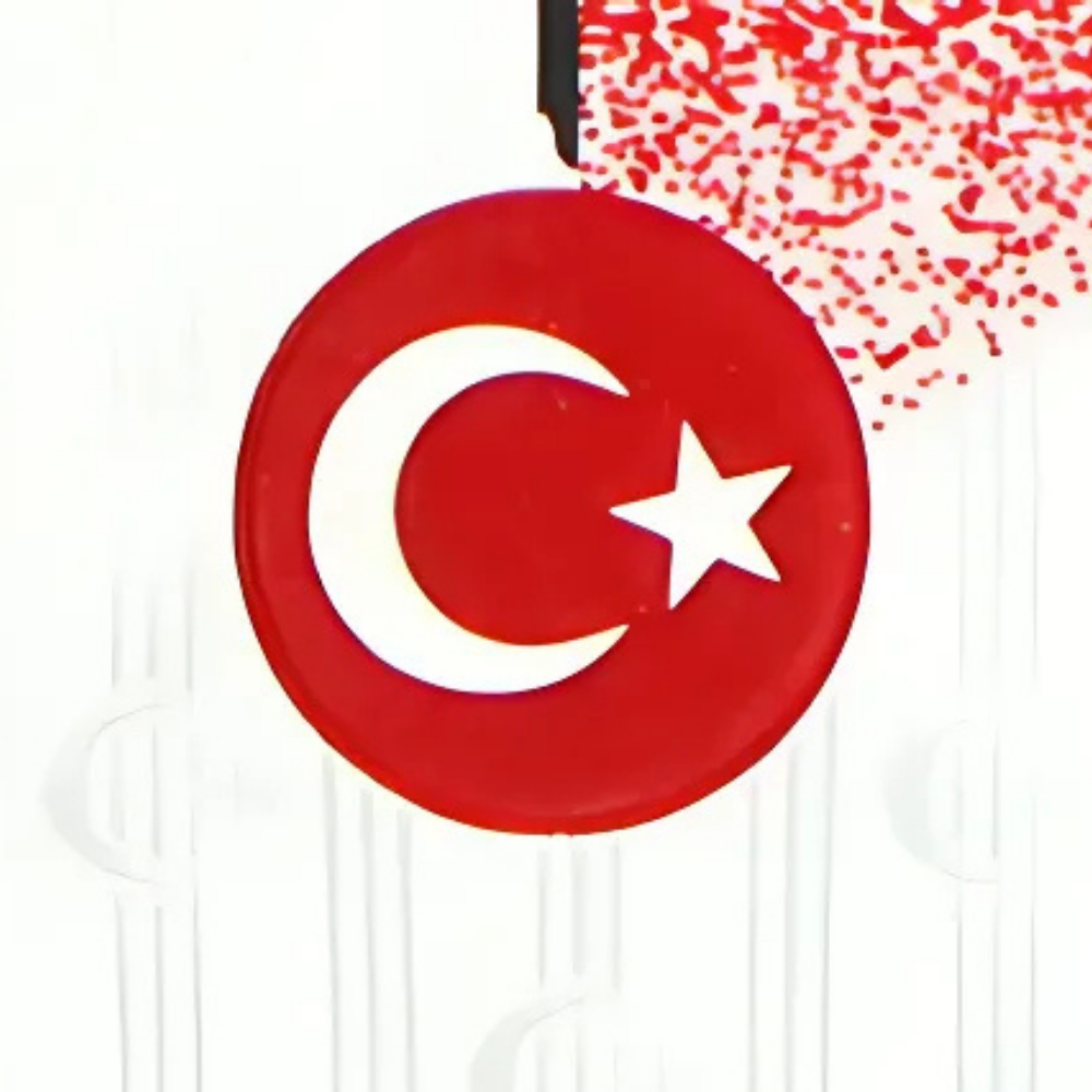 RETRO TURKIJE UITSHIRT 1990